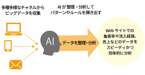 AIデータを整理・分析